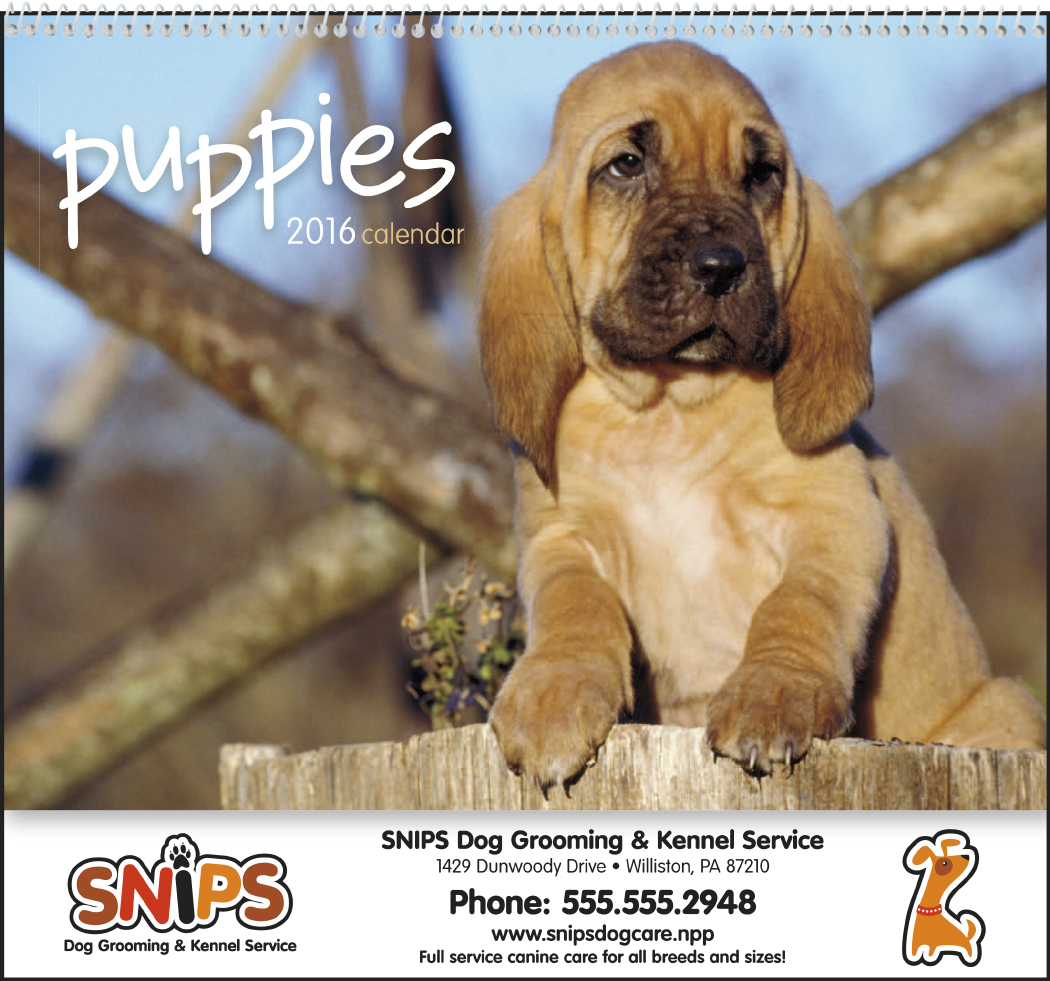  pets wall calendars