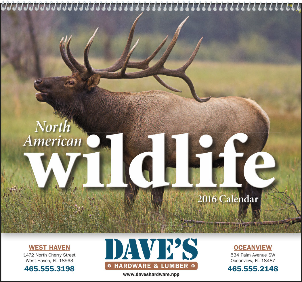 wildlife wall calendars